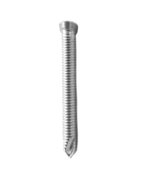 LOCKING SCREW SELF TAPPING